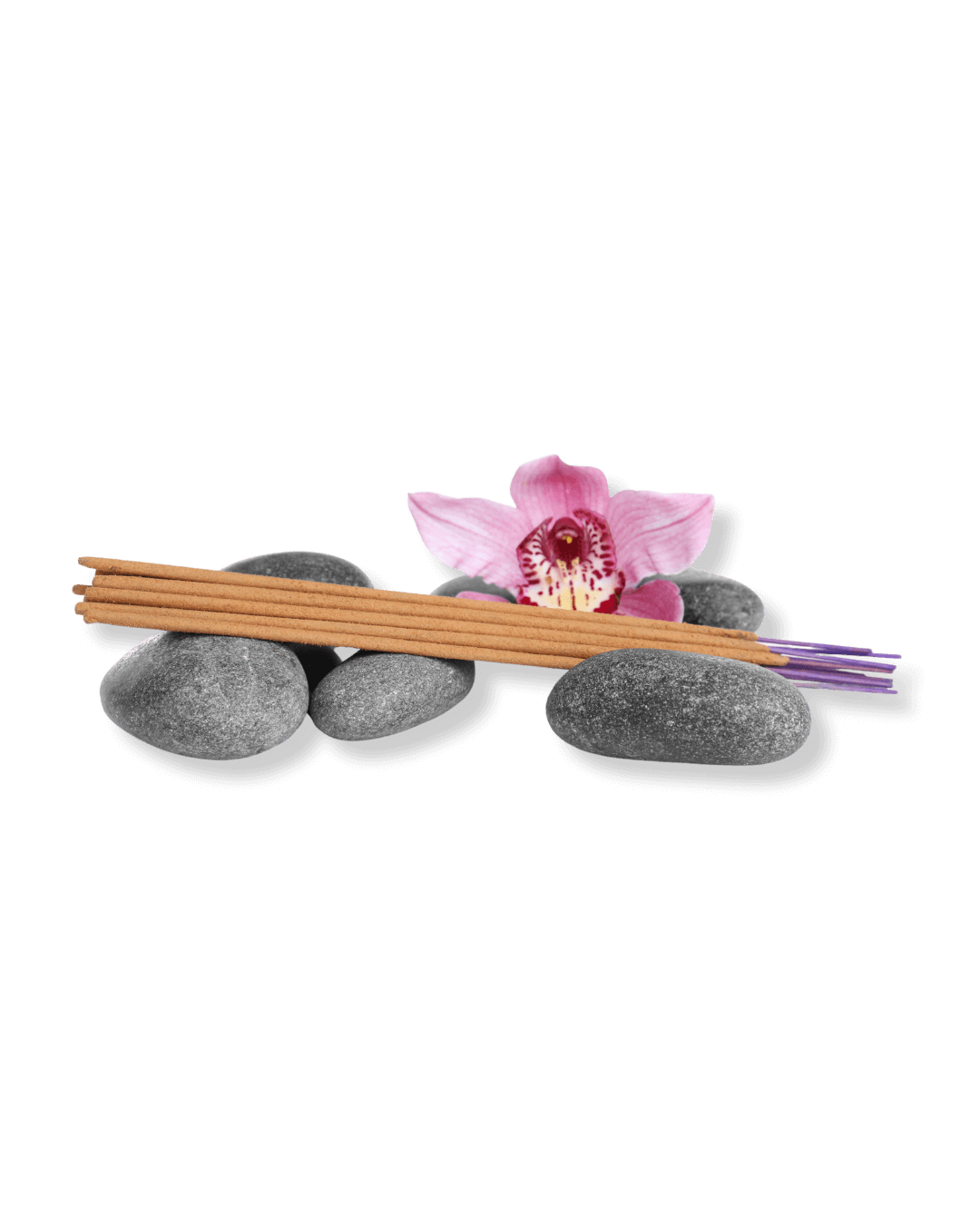 Pooja Picks