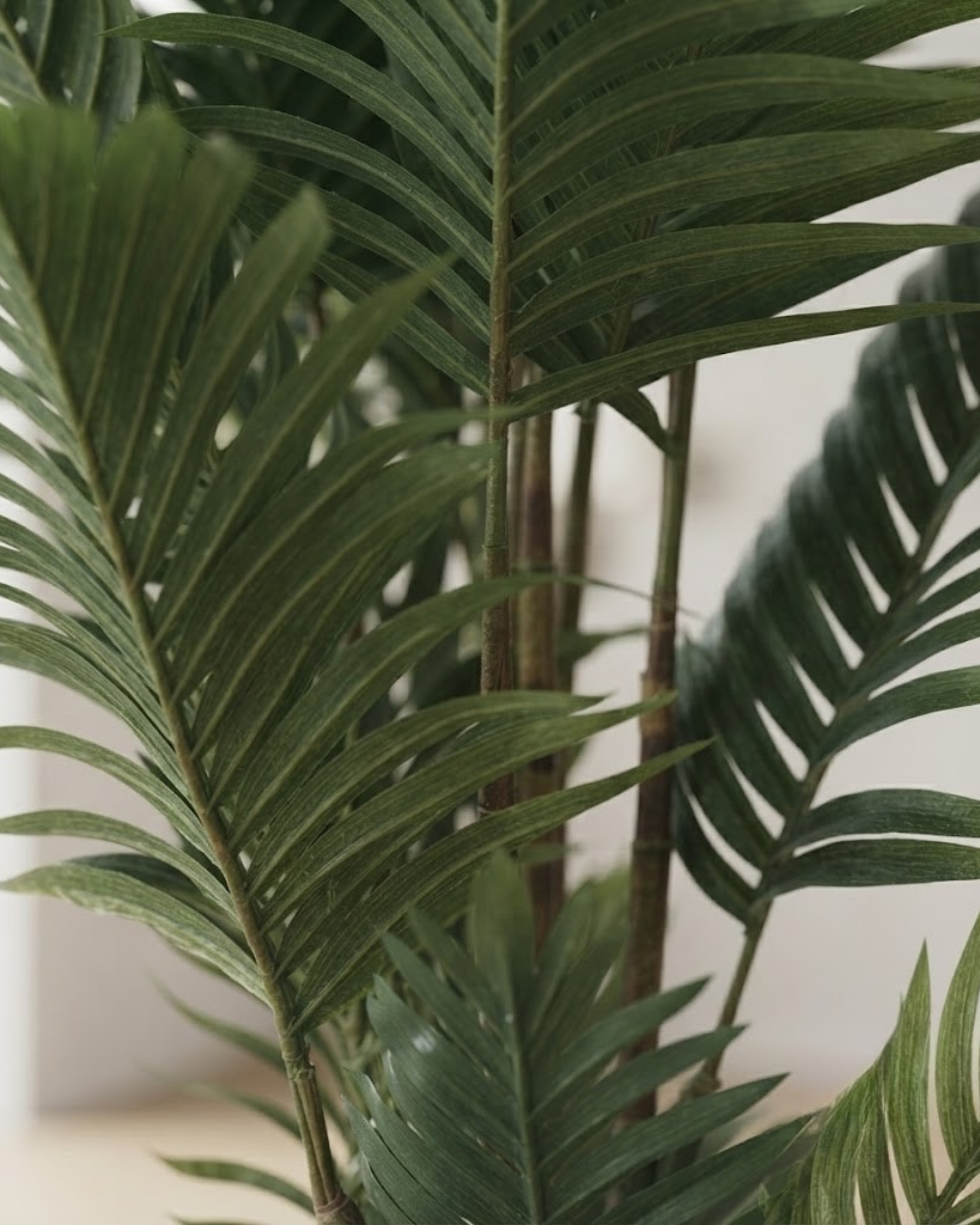 Premsons® Premium Tall Artificial Indoor Plant in Designer Pot