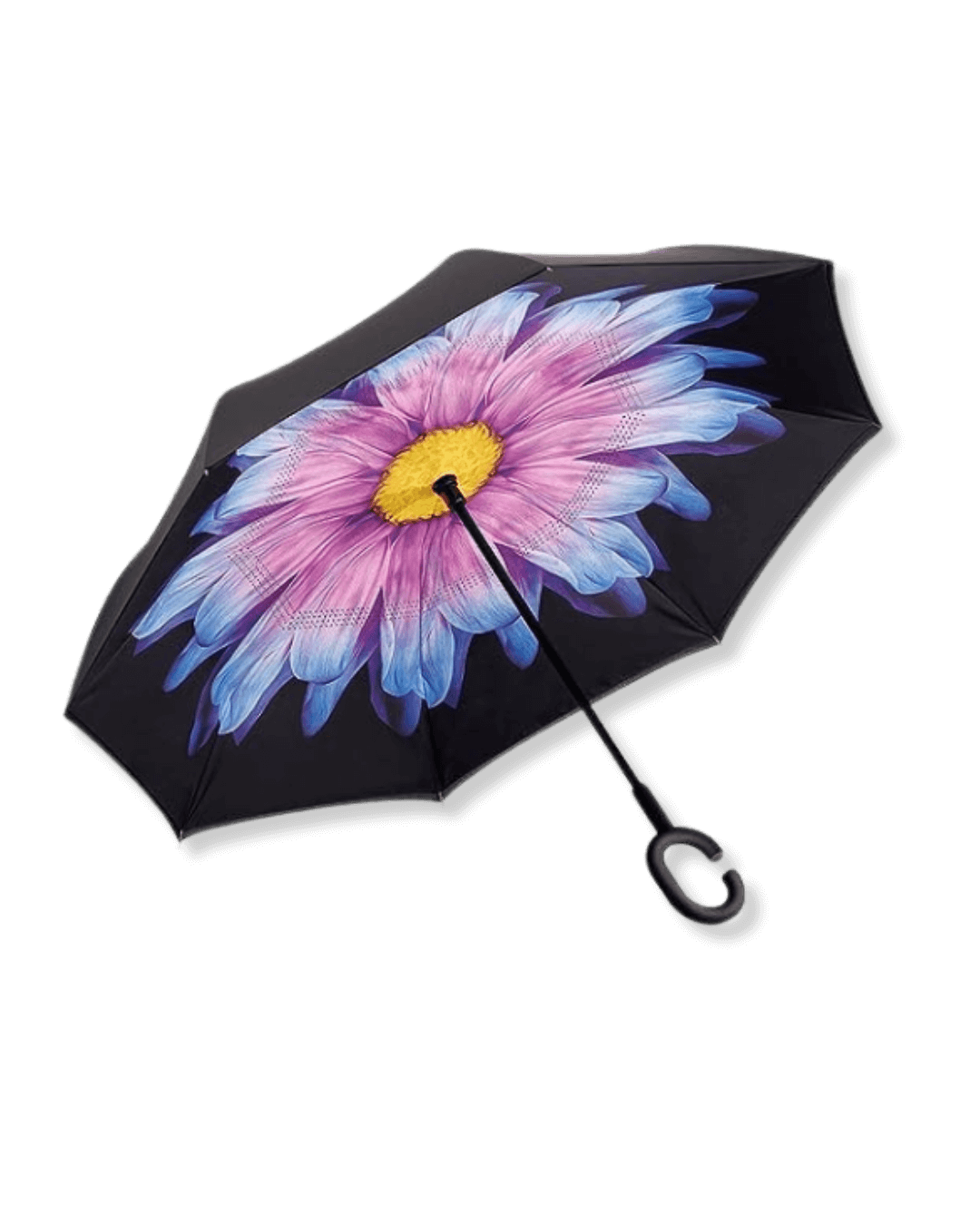 Seasonal Essentials