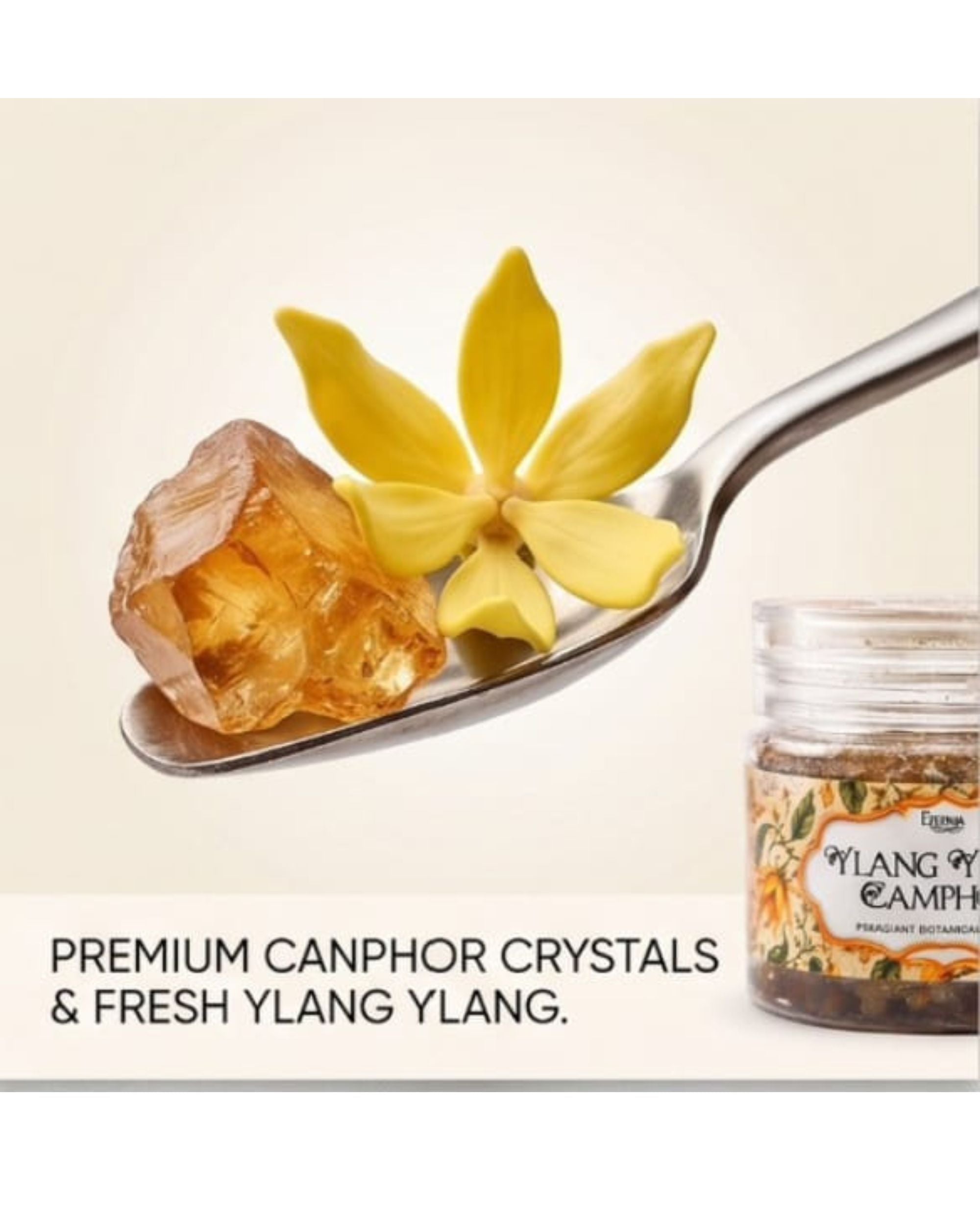 Eternia® Ylang Ylang Camphor Fragrant Botanical Blend | Luxury Floral Aroma Jar for Wardrobe, Bathroom, Home & Office Freshness