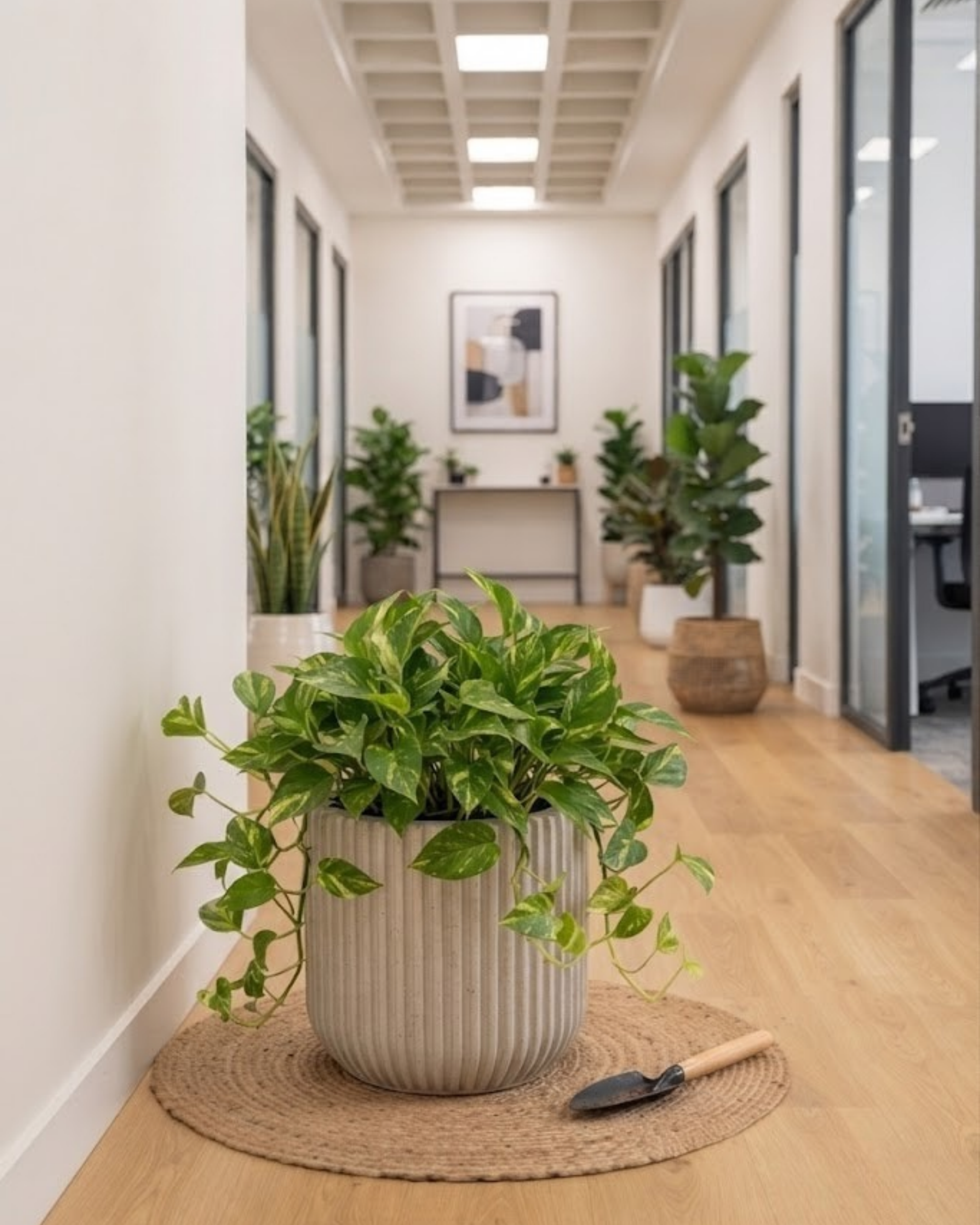 Premsons® Vertical Stripe Planter