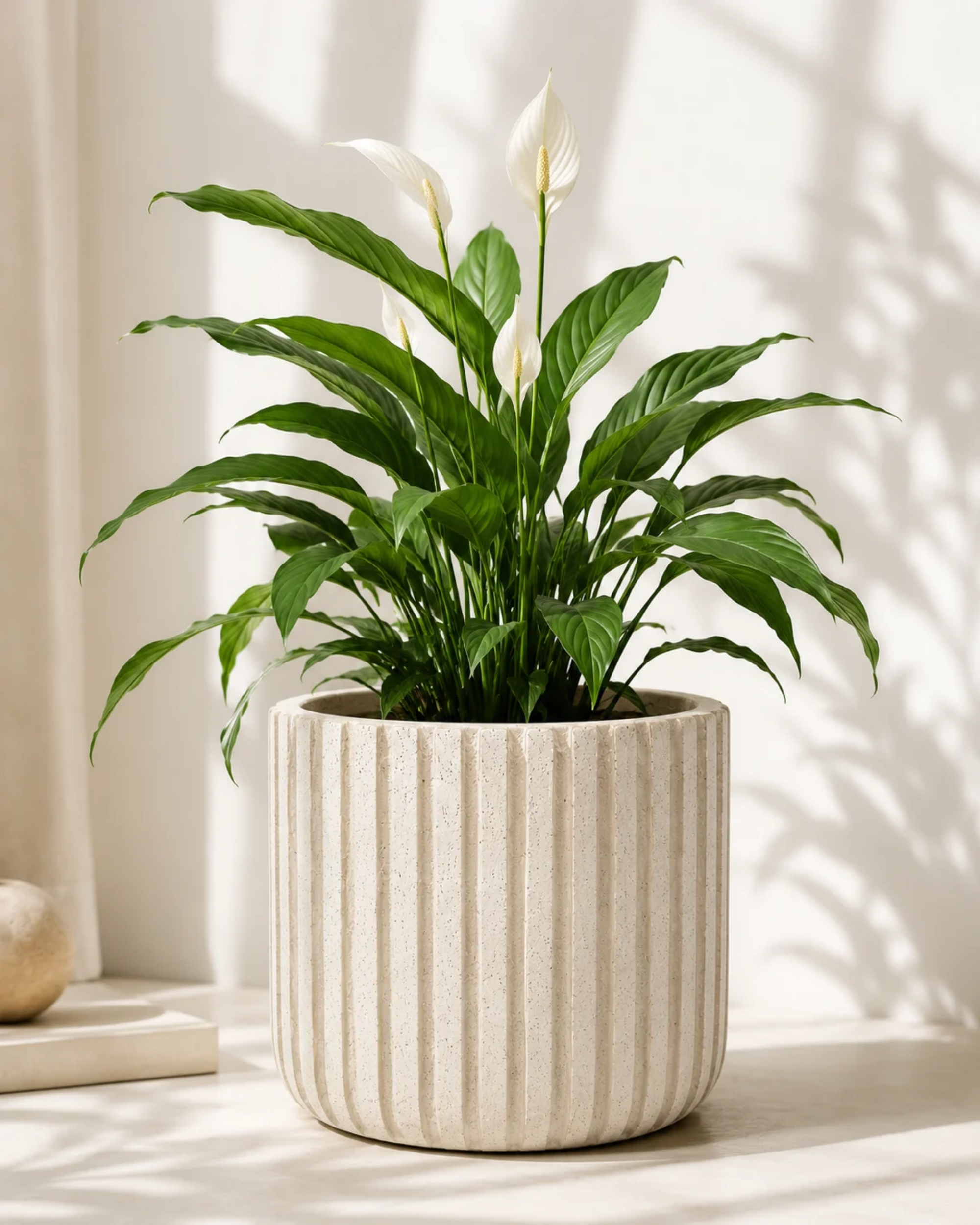 Premsons® Vertical Stripe Planter