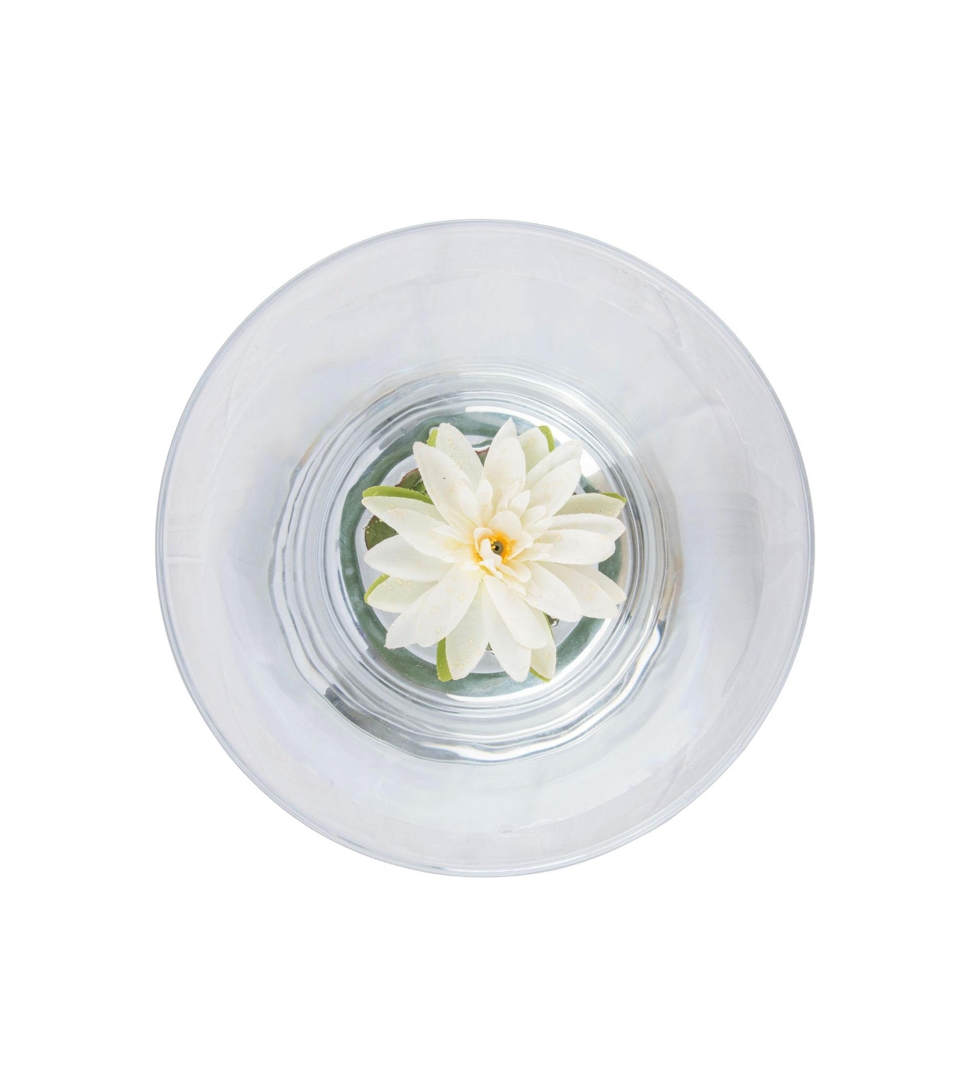 Clear round dish with centered white lotus flower and small green leaves