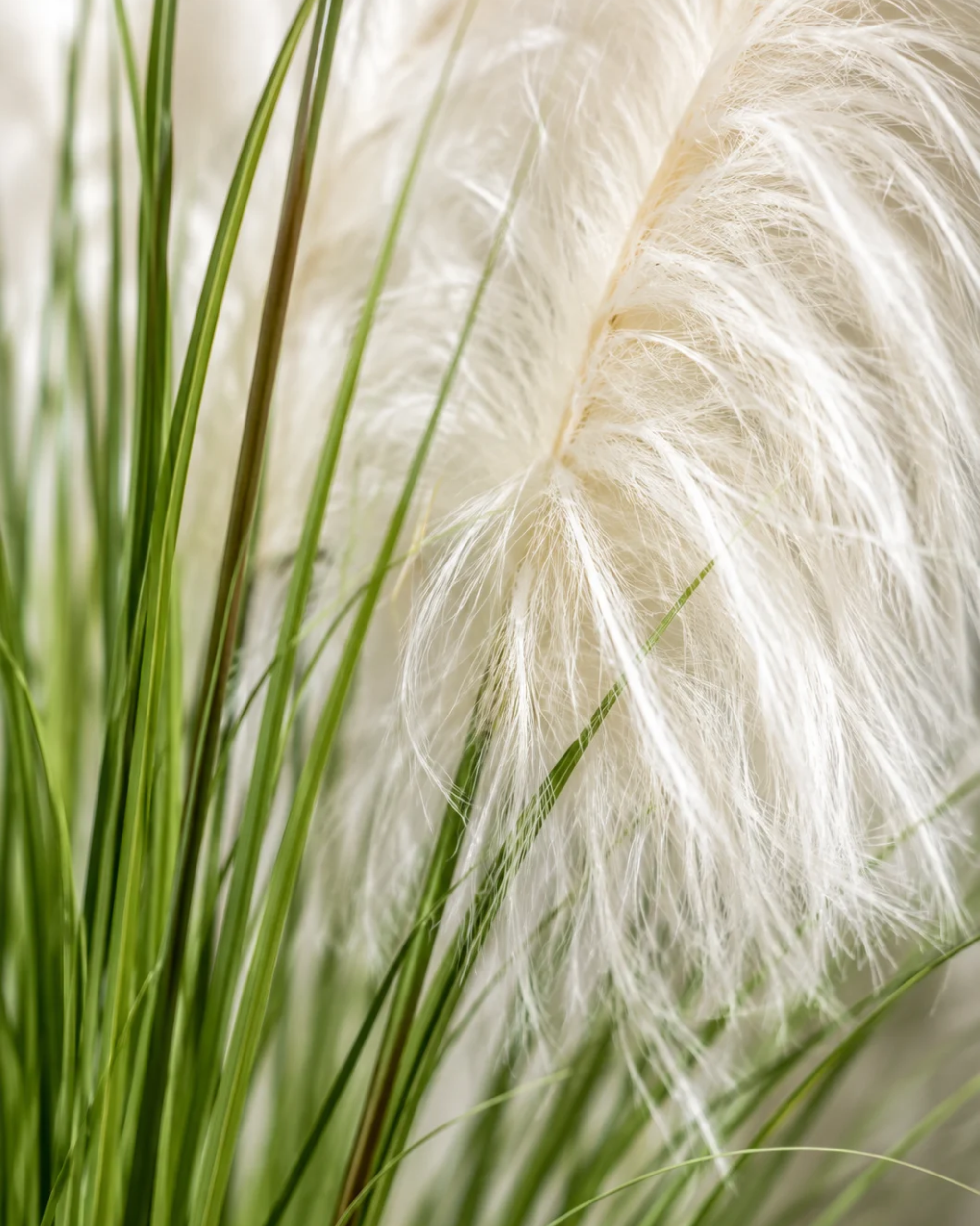 Premsons® Artificial White Feather Grass Plant for Home & Office