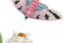 Premsons
