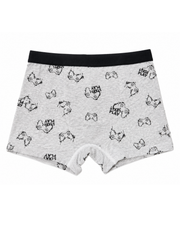 Premsons® Boys Grey  Game Controller Printed Underwear  5-6 Years Kids