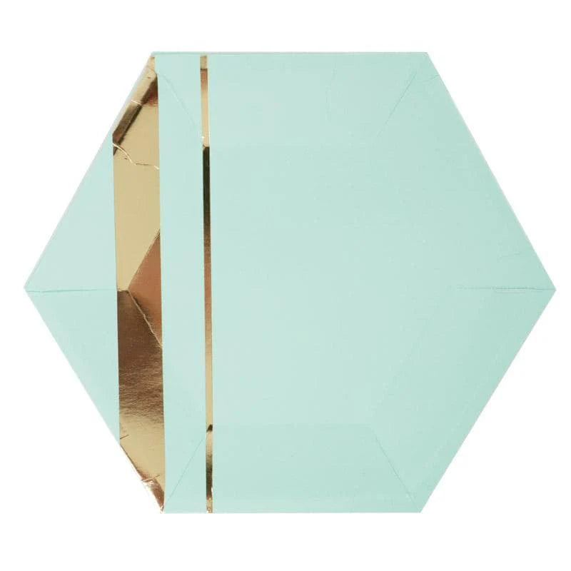 Premsons® Party Plates – Stylish Disposable Plates for Birthdays, Celebrations & Gatherings (set of 10 ) (Pack of 2)