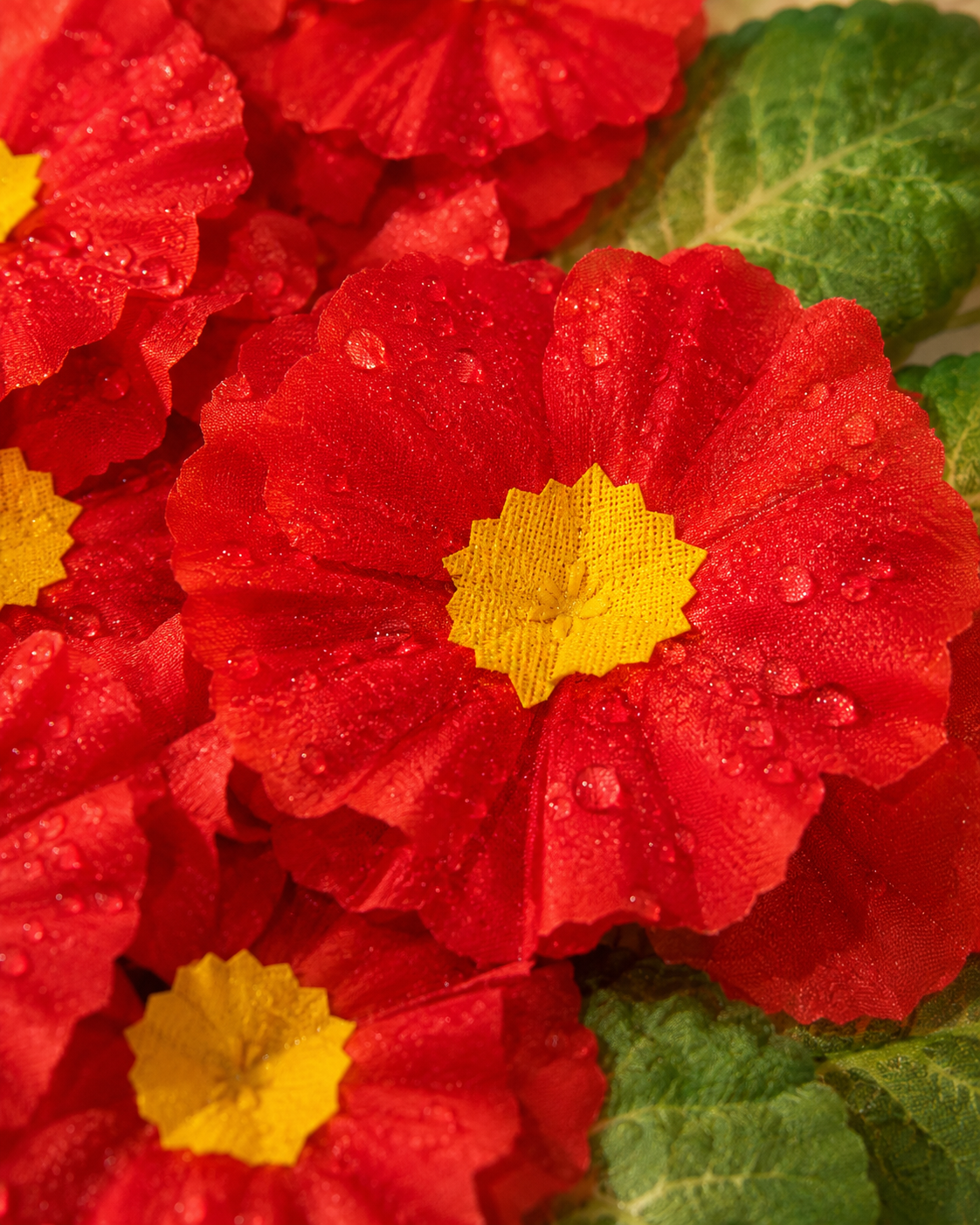 Close-up red artificial flowers with yellow centers and green leaves
