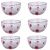 Strawberry Printed Bowl - Pack of 6-Small