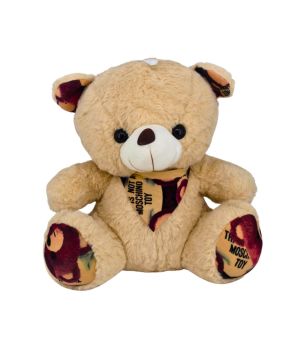 Cute Teddy Bear For NewBorn