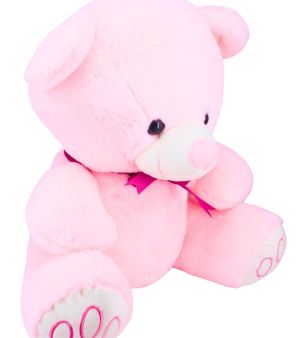 Big Pink Teddy Bear.
